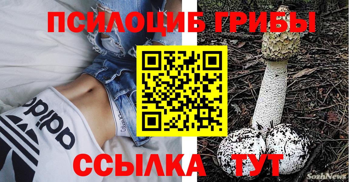 Псилоцибиновые грибы MAGIC MUSHROOMS Можга