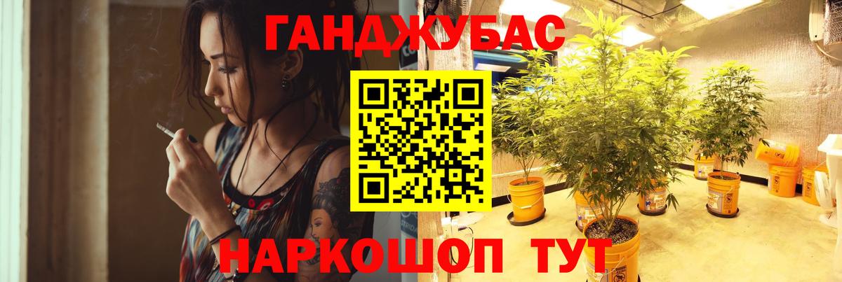 Шишки марихуана Bruce Banner Можга